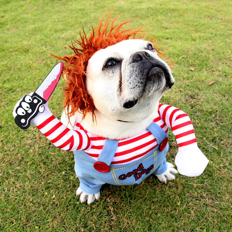 Chucky Dog Costume
CJJJCWGD00380-Photo Color-S	
CJJJCWGD00380-Photo Color-M	
CJJJCWGD00380-Photo Color-L	