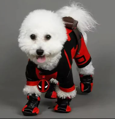 Deadpool costume for dogs, best quality
K6VDVAP
IKFL0AQG5
147K3B7WE