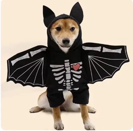 Pet Bat Costume
EPQL2P6EN
FPII4Q7PJ
1K2T5ED