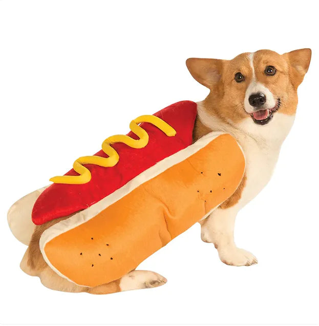 Dog hotdog costume
NP74SW1