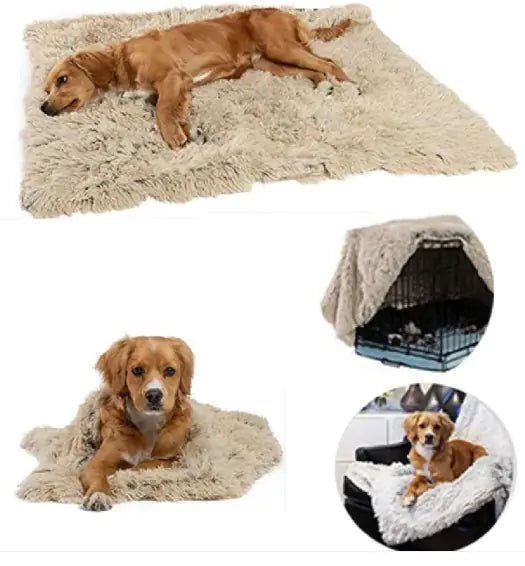 Pet Blankets cozy
RL2MUIO5L
L198KIFTF
TEAYCLPVJ
UXVKK3VOP
VTYH43SSC
BQUNNH0SZ
4PA2VRF9T	
