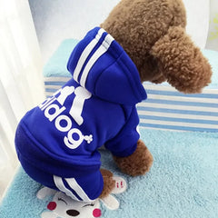 Dog Sweatsuit